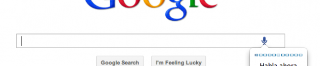 Google Principal