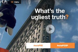 Truth Slider